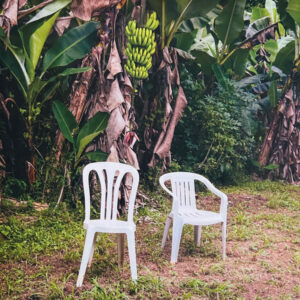 Debí Tirar Más Fotos (2 LP)